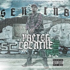 Sentino - Letter to the world