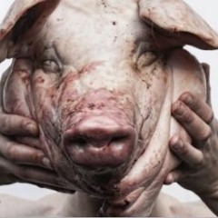 Vídeos de sexo e pornografia Imitando Porco em alta qualidade no Maisexo.com