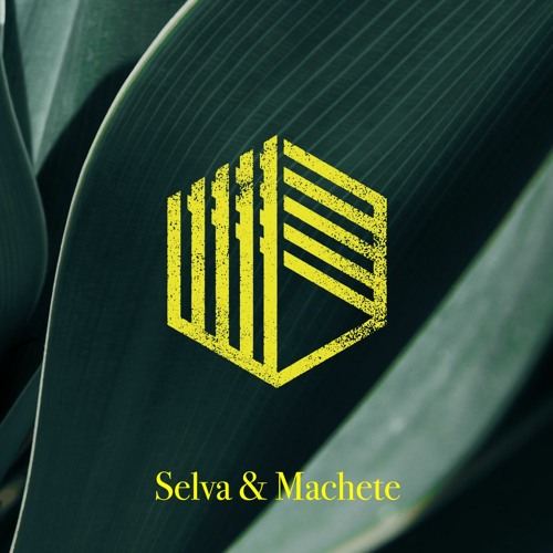 DJ Arzur Miller - Selva & Machete