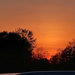 Fireflies - Owl City - Acoustic Cover by Jada Facer and Jonah Baker