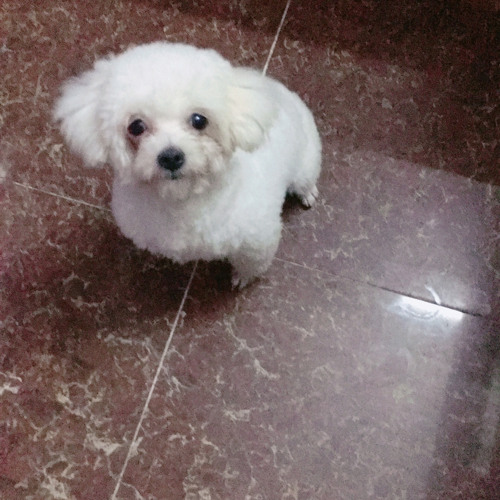 y2mate.com - Huynh đệ à nhớ anh rồi|Mix channel H+|cực mạnh cực căng_WRIeLUpL6R4