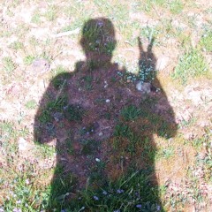 compo20230515 (Silueta)