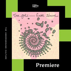 PREMIERE: Tha_Guts - Fake Stone (L_cio Remix) [Cocada Music]