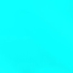 Hawaiian Surfer - Fluorescent