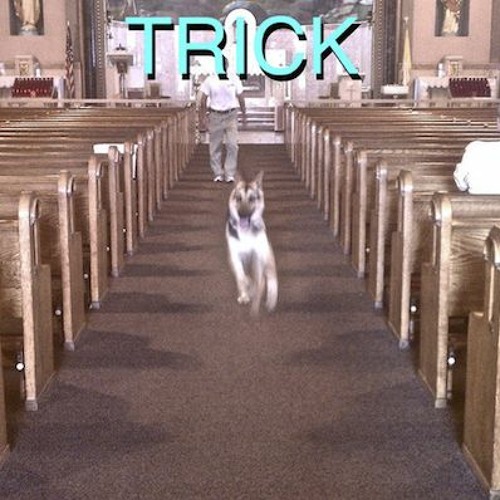 Alex G - Sarah (Live Performance)