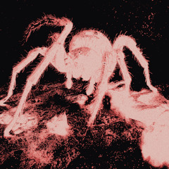 BEJO - You Wish [FREE DOWNLOAD]