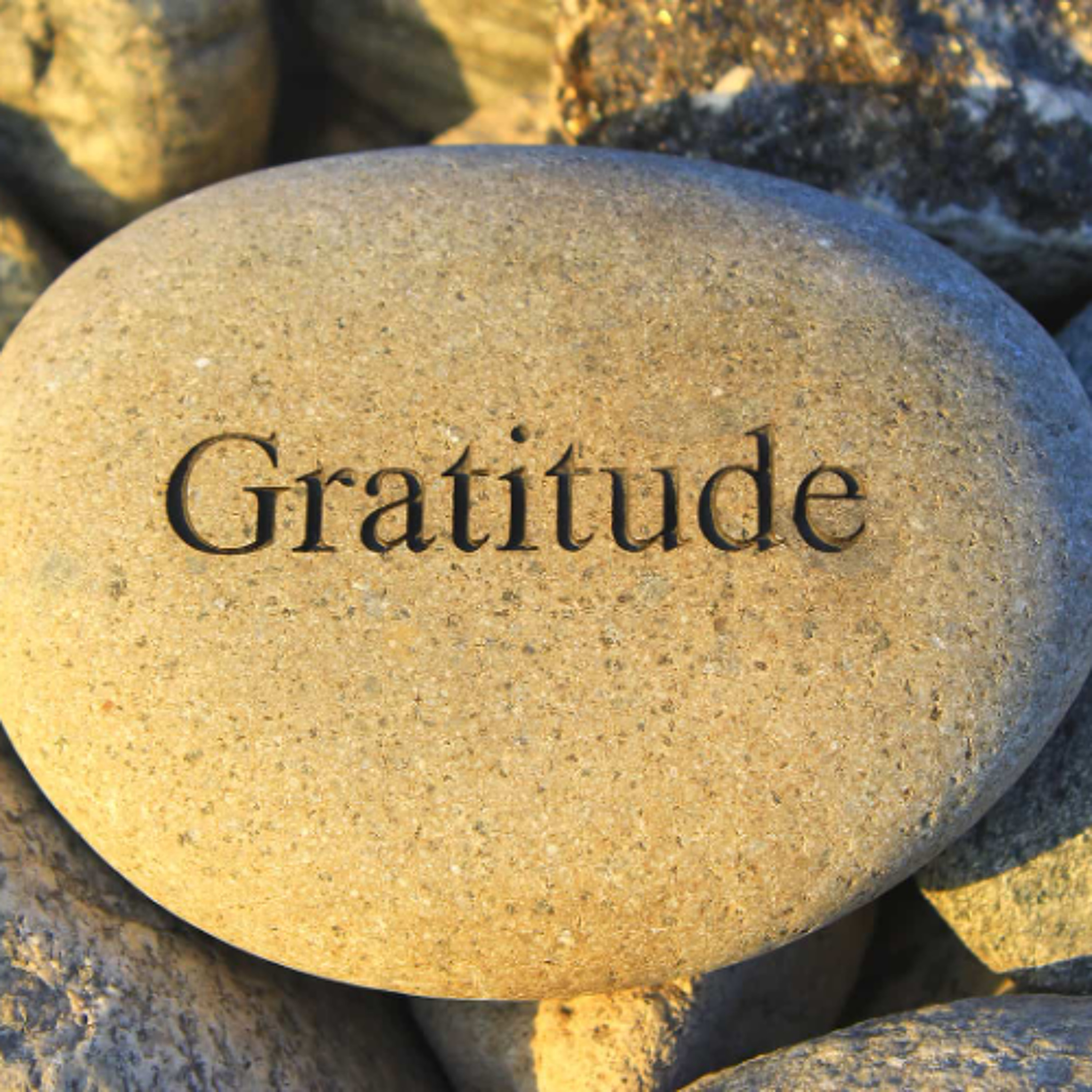 Ki Tavo: Gratitude episode artwork