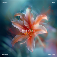 James Deep, MDNA, Rainshow, Nassri - Seed of Love