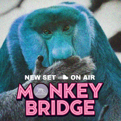 Monkey Bridge live @ La Filature 17 07 2025