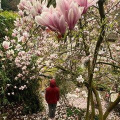 Ngiy awthi esharp gwijo (ARTVRemix)