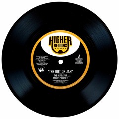SAMPLE "The Gift Of Jah" + Dub THE NAVIGATOR meets MIGHTY PROPHET OUT NOW!!