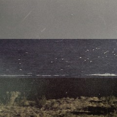 Tuvila Kojo