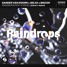 Sander van Doorn x Selva x Macon - Raindrops (feat. Chacel) [Sanky REMIX]
