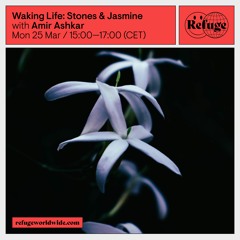 Waking Life: Stones & Jasmine - Amir Ashkar - 25 Mar 2024