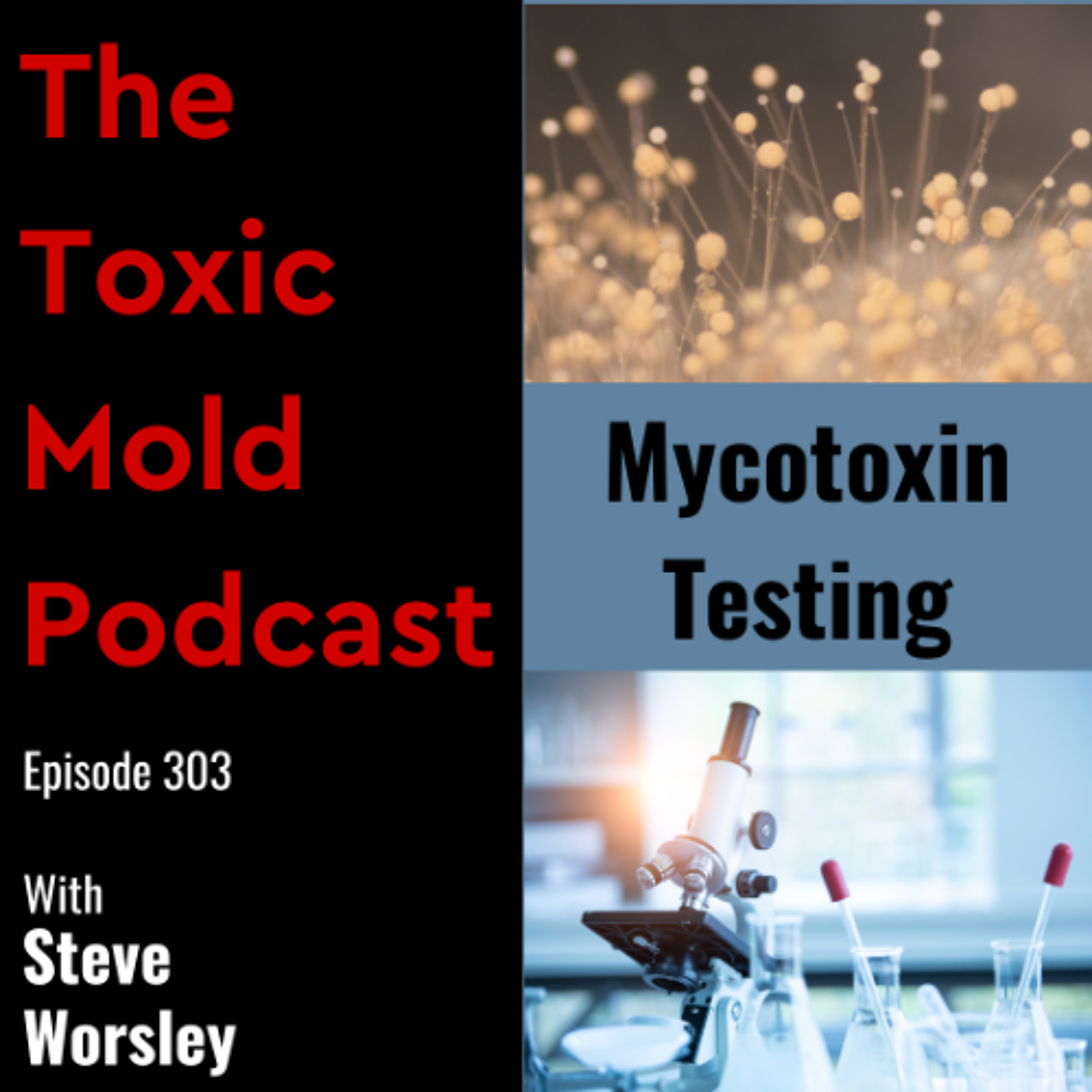 EP 303: Testing Your Home For Mycotoxins