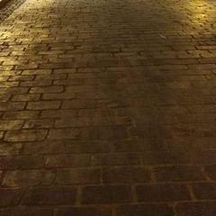 سنة أخرى - محمود درويش - فريد عبد العزيز 2014