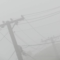 winter of our despair