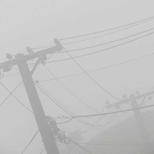 winter of our despair