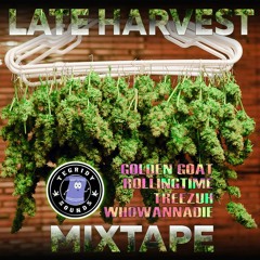 LATE HARVEST