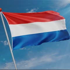 DEMONSTRATIE 29 NOVEMBER