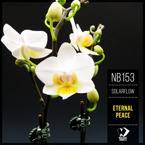SolarFlow - Springtime (Original Mix)