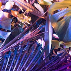 D'Libra  Magnetic Jungle (preview)