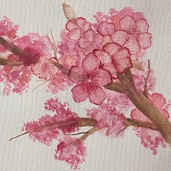 Benson Boone- Ghost Town -(Jæn Cover)