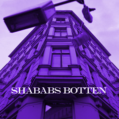 Shababs botten-So wie du bist- Pashanim Remix