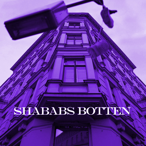 Shababs botten-So wie du bist- Pashanim Remix