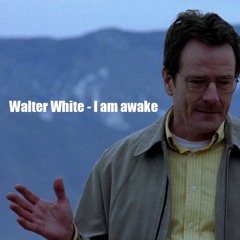 Walter White - I am awake (Breaking Bad Remix)