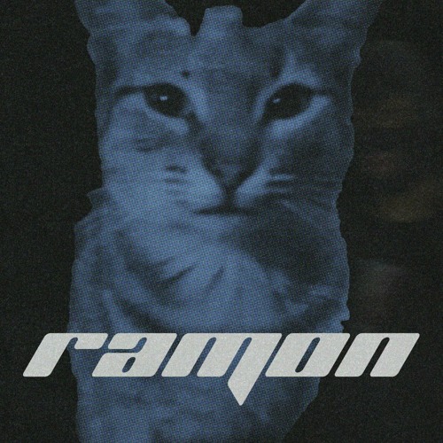 Los Angeles visual data 3