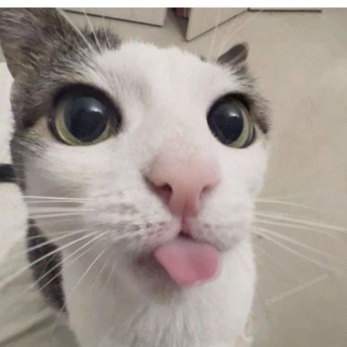 F1r3lazer - Silly spooky beet