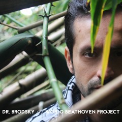 Dr. Brodsky - On Beethoven's theme from 'Moonlight Sonata'