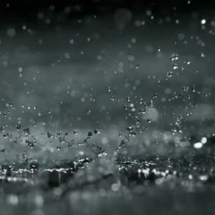 قصة المطر.. فهم المطر