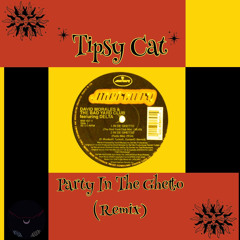 Tipsy cat - Party In The Ghetto (Original Mix) (Free DL)