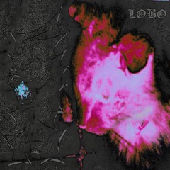 Lobo