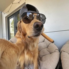 SLEEP 5: Người Việt Nhạc Tây - Deep House