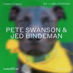 Jed Bindeman & Pete Swanson- Oddity Influences Mix