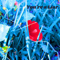 Rackson Cactus - You're a Liar - Instrumental