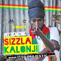 Recognizing Sizzla Kalonji
