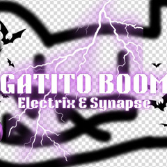 GATITO BOOM