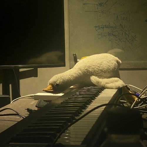 XIN ANH ĐỪNG ...mất ngủ - JT, Emily, salmon