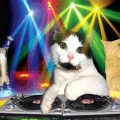 KITTY BASSDROP