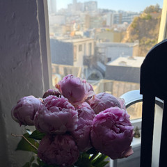 Hit by a Waymo but I found the peonies