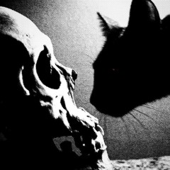 IM FEAR (prod:Director.Henry)