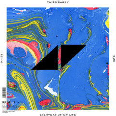 Tim Berg  X Third Party - Every Day Of My Life X Seek Bromance (Patrick JP mashup)