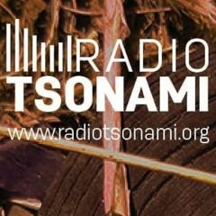 Ruido de Campo "en vivo" por radio Tsonami.org