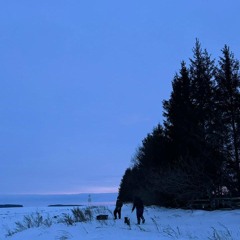 сине сөясем килә