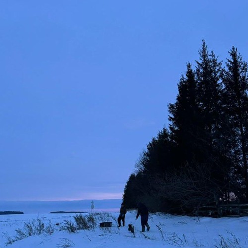 сине сөясем килә