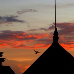 Cô Ấy Tốt Hơn Em - Vương Lý Văn - 王理文 - 他比我好吧 ♫